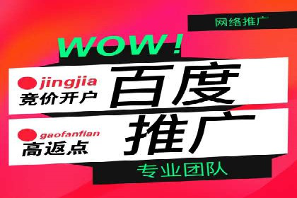 百度SEM代运营案例解析：精准锁定目标客户